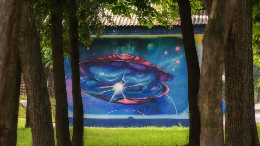 Мозырская галактика