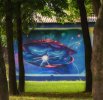 Мозырская галактика