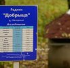 Родник «Добрица»
