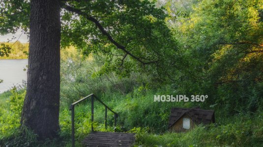 Родник «Кустовница-Криничанский»